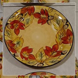 Dishes 11in-6pi