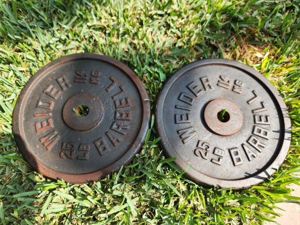 Vintage 2 Weider Barrell 25lb Weights