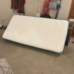 FREE Twin Size Mattress