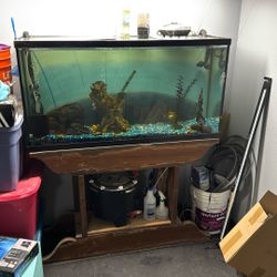 65 Gallon Tank Set Up