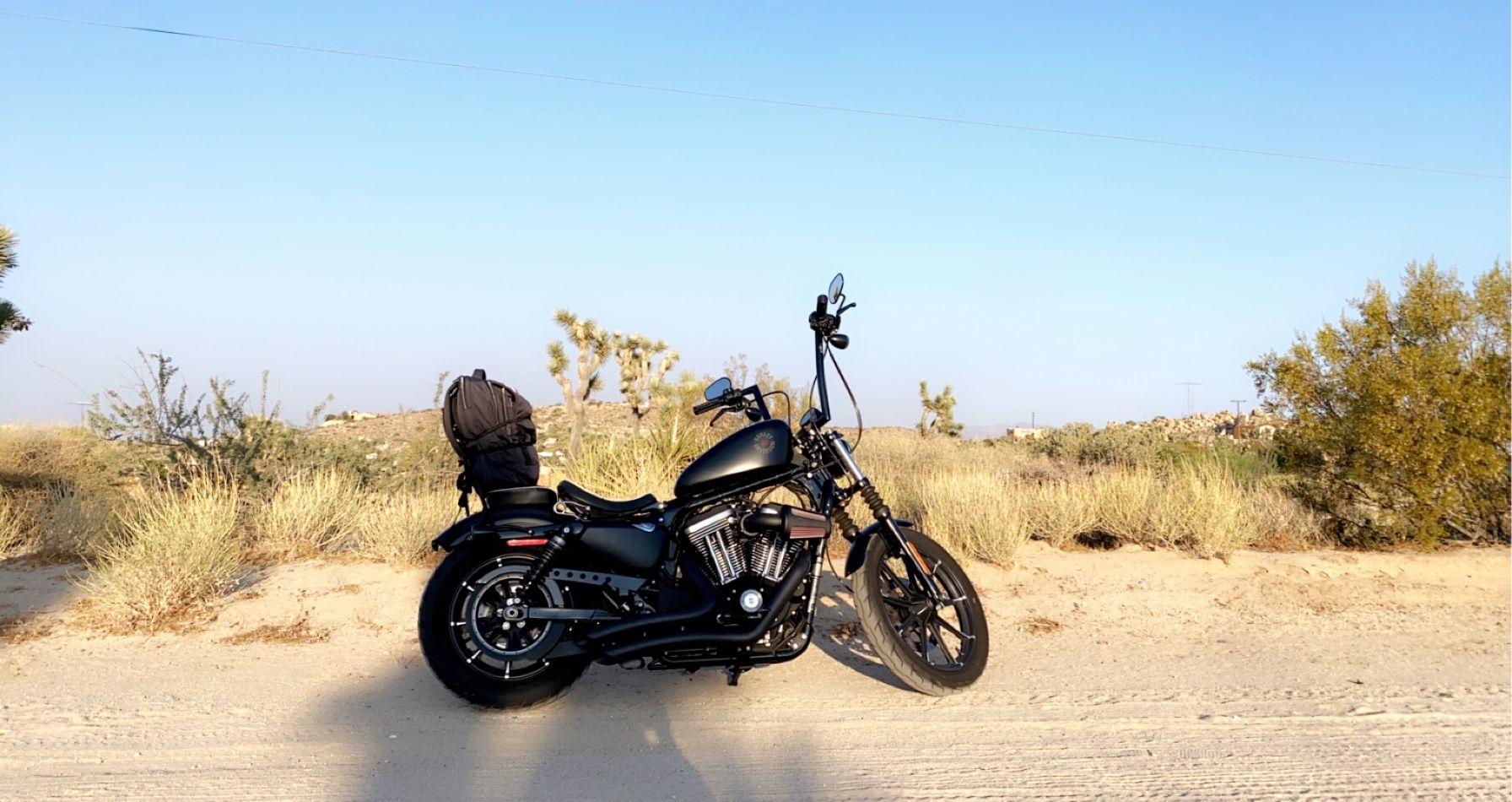 2019 Harley Davidson Iron 833