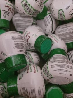 RAIZ DE TEJOCOTE 3 MESES $$40