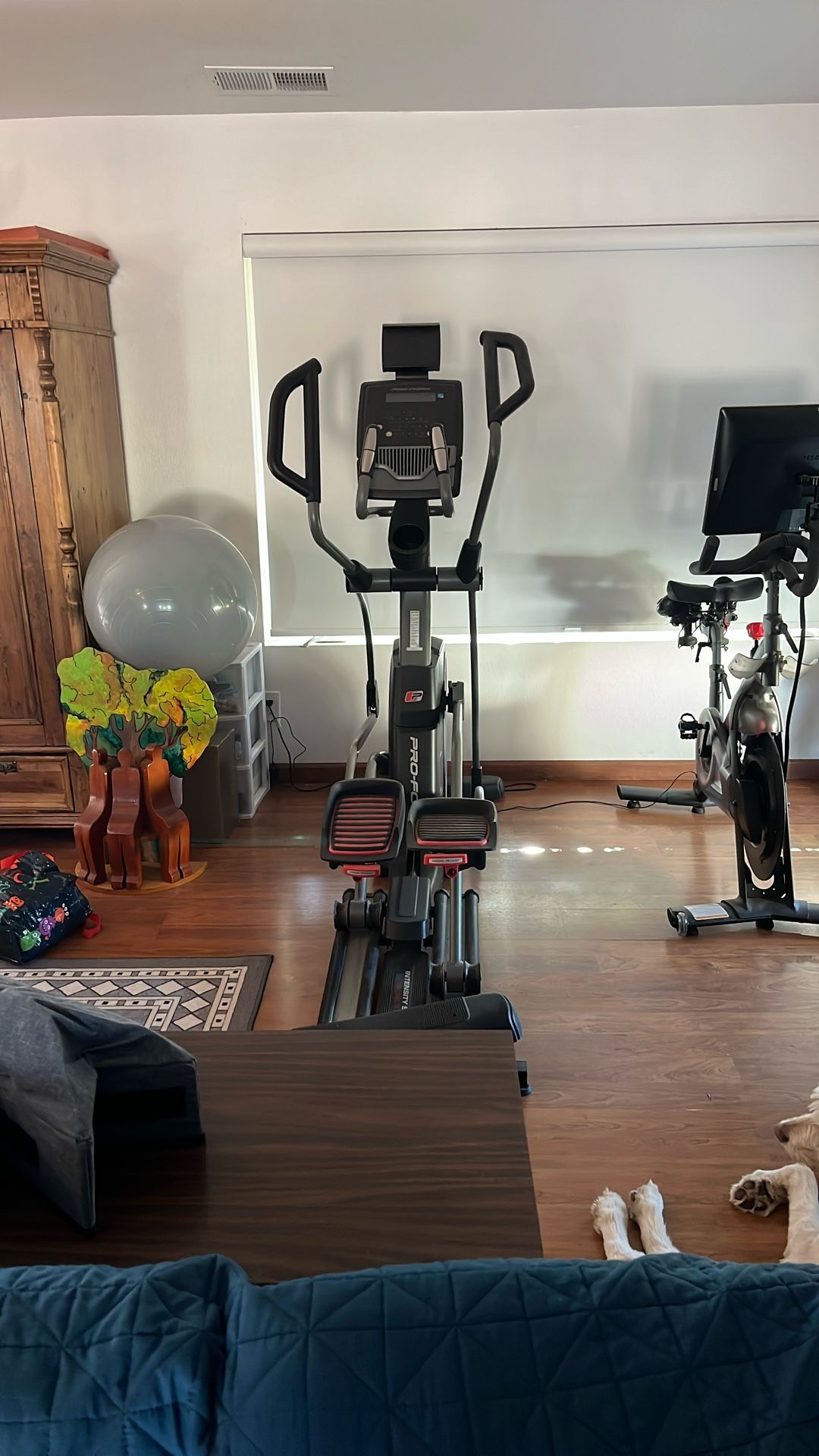 Pro Form Trainer 7.0 Intensity Stride