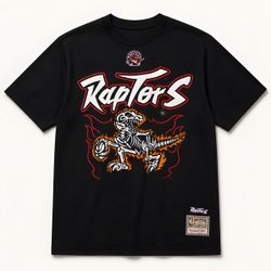 Mitchell & Ness Raptors Hardwood Classics T-Shirt