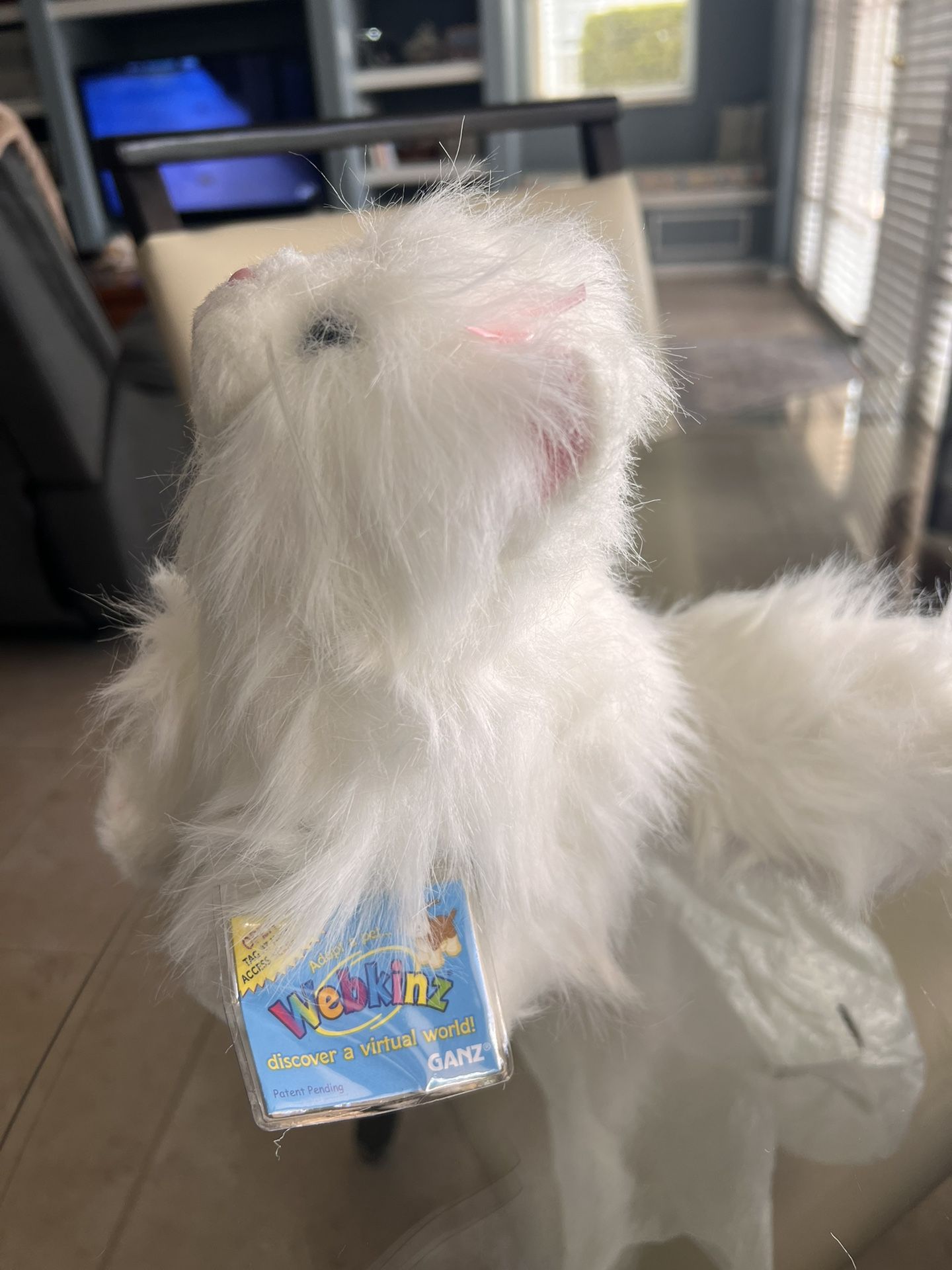 Webkinz