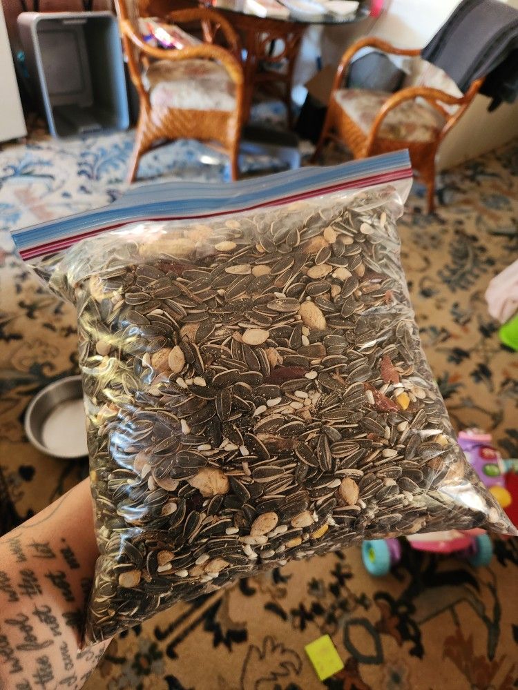 Free Parrot Feed(peanuts and chiles)