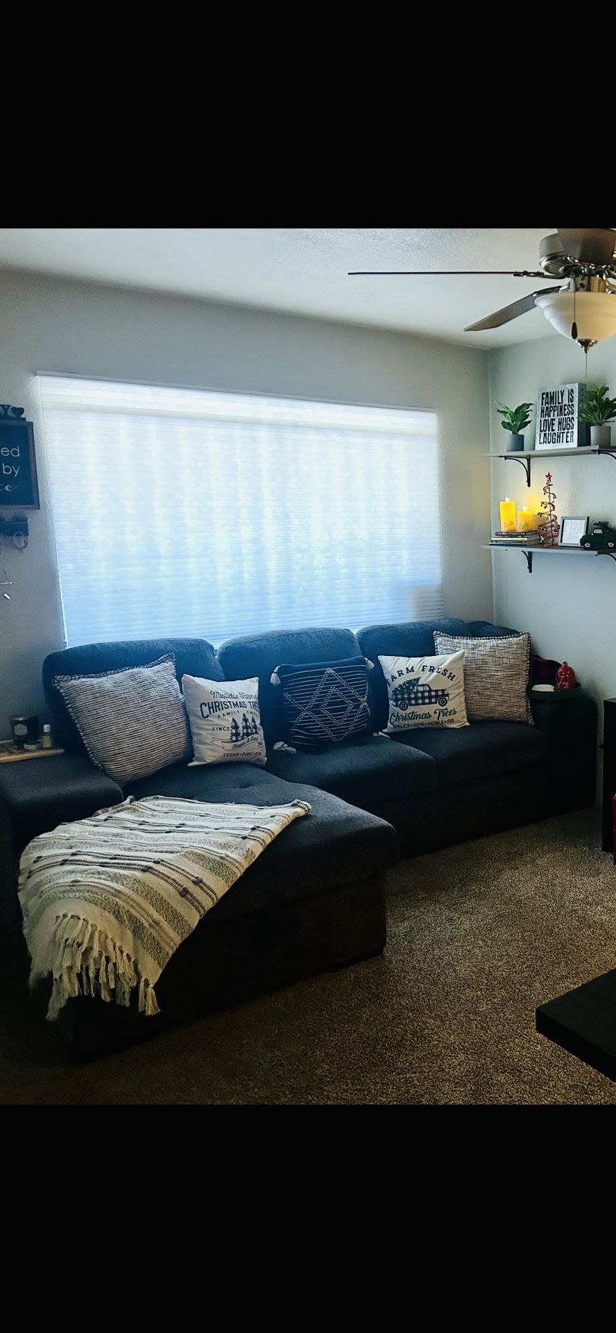 Sectional Couch With Storage And Pull Out