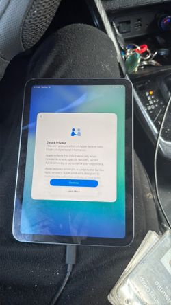 Ipad mini