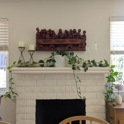 Mature Photos Plant (White Pot Not Included)