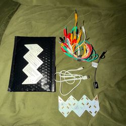 Playtronica Playtron set $50 OBO