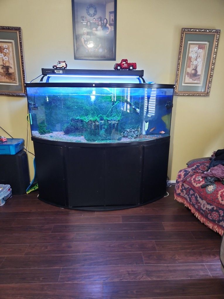 Fish Tank