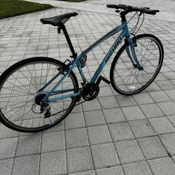 Nishiki Manitova Women s Bike 700C. Green Color for Sale in Wellington FL OfferUp