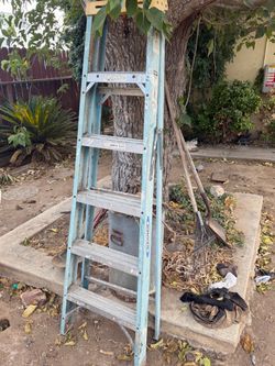 Ladder 15ft
