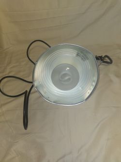 Light With Clamp