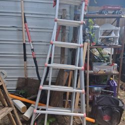26ft Gorilla Ladder $200 No Less 