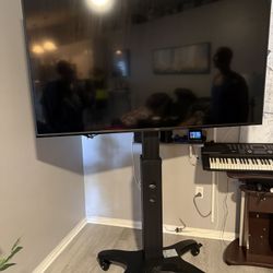 65in VIZIO TV w/ Mobile Stand 