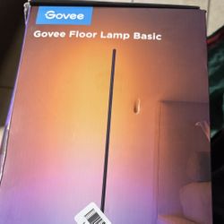 Govee RGBIC Floor Lamp Basic