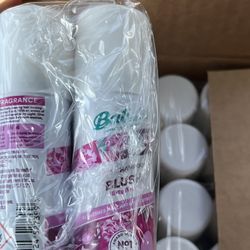 Bulk packaged dry shampoo (48 travel size units)(24 blush)(24 bare)