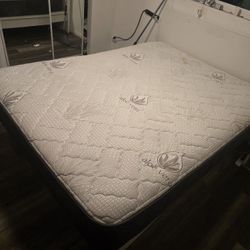 Da (Will Accept Best Offer) Queen Size Matress With Box Spring & Slide OutDrawers/Storage