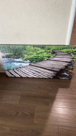 Picture Frame 3.5ft x 1.5ft