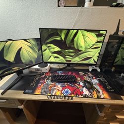 Monitors,  Xbox, Turtle Beach Headset