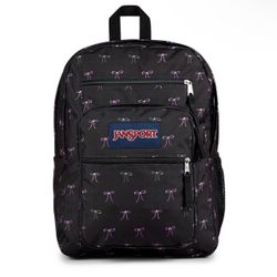 Bad bows Jansport set. *USED*