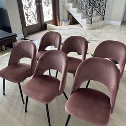 6 Dining Chairs 