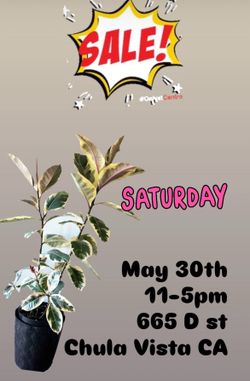 Plant sale