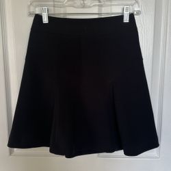 Express Flair Skirt