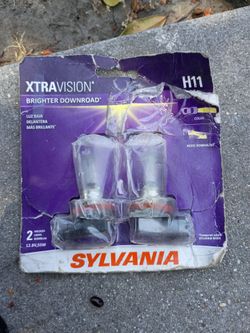 H11 headlight