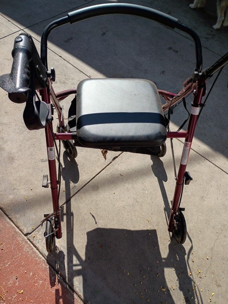 Adult Walker