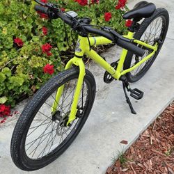 Raleigh - 24 Inch Redux - Like New