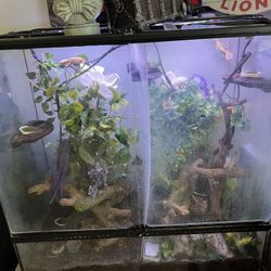 48x24x48 Reptile Enclosure