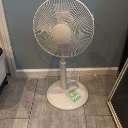 Pedestal Fan