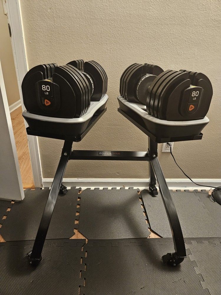 LifePro 80 Lb Adjustable Dumbbell Set And Stand