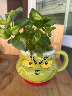 Planta natural y Vase
