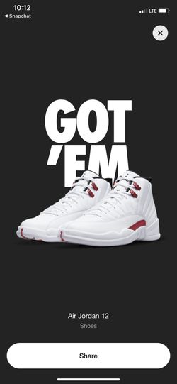 Metallic Red Jordan 12
