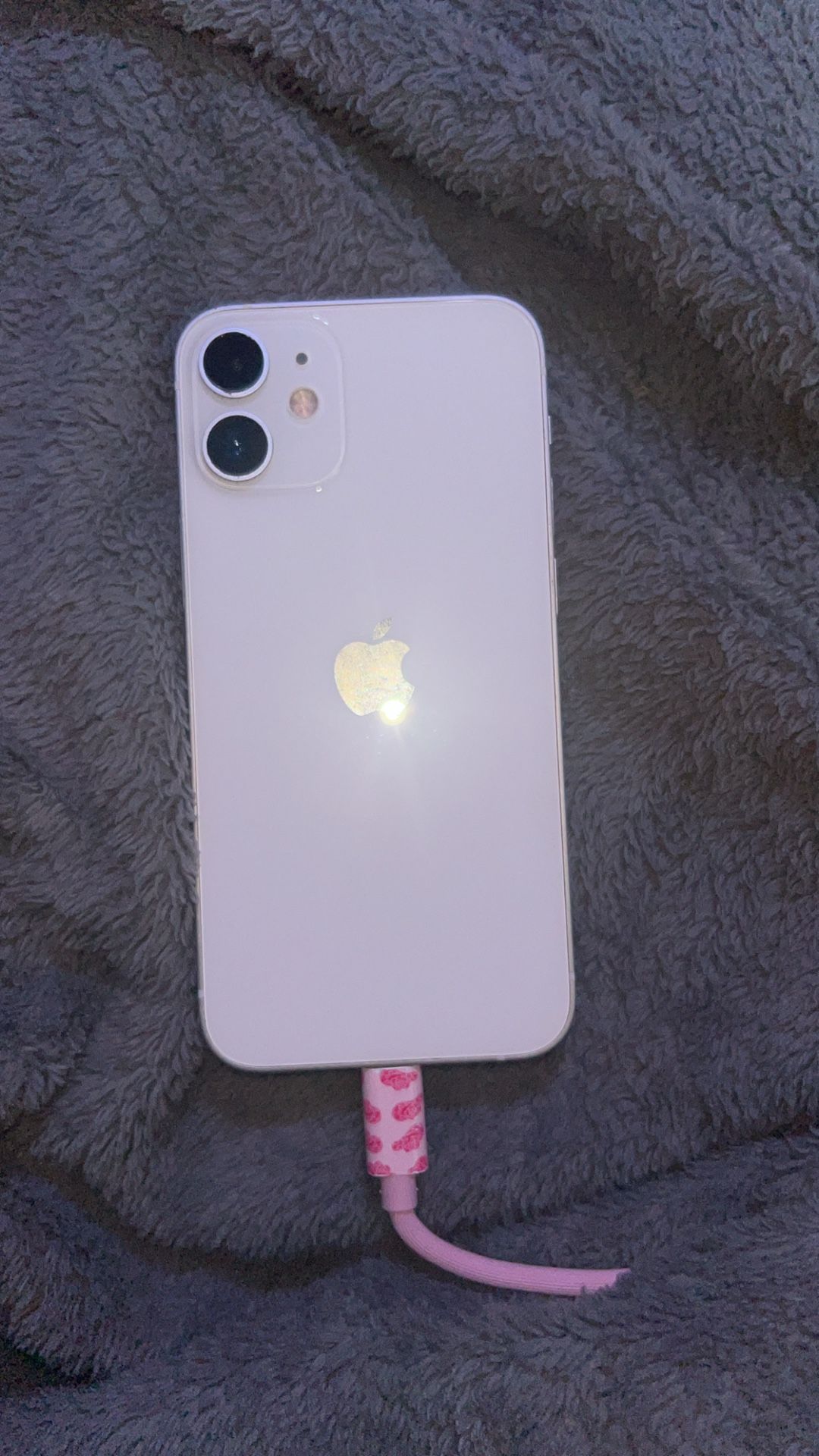 iPhone 12 Mini