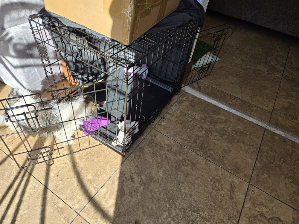 Dog Crate