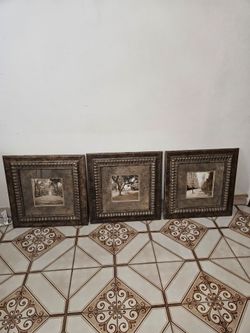 5  Framed prints with glass cover.
