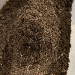 Organic soil 