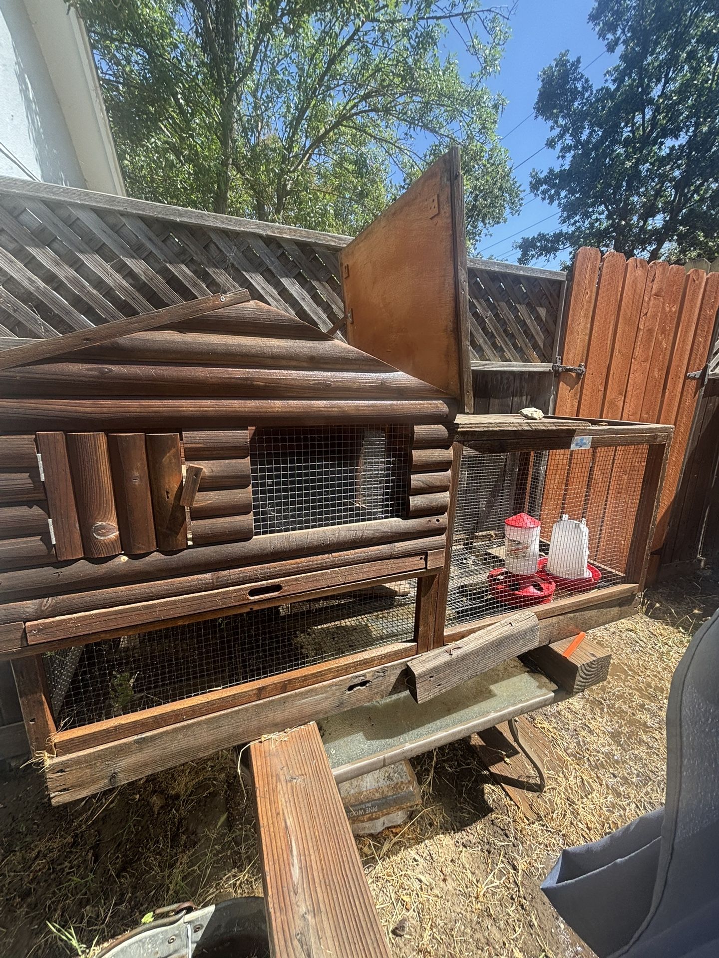 Chiken Quail Coop