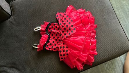 Lady bug girl’s costume