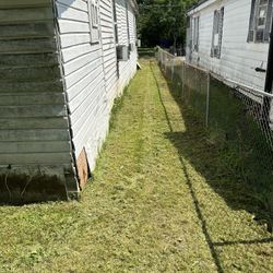 Available Cut Grass Today