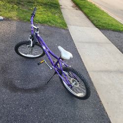 5 Speed With Shock Absorber 