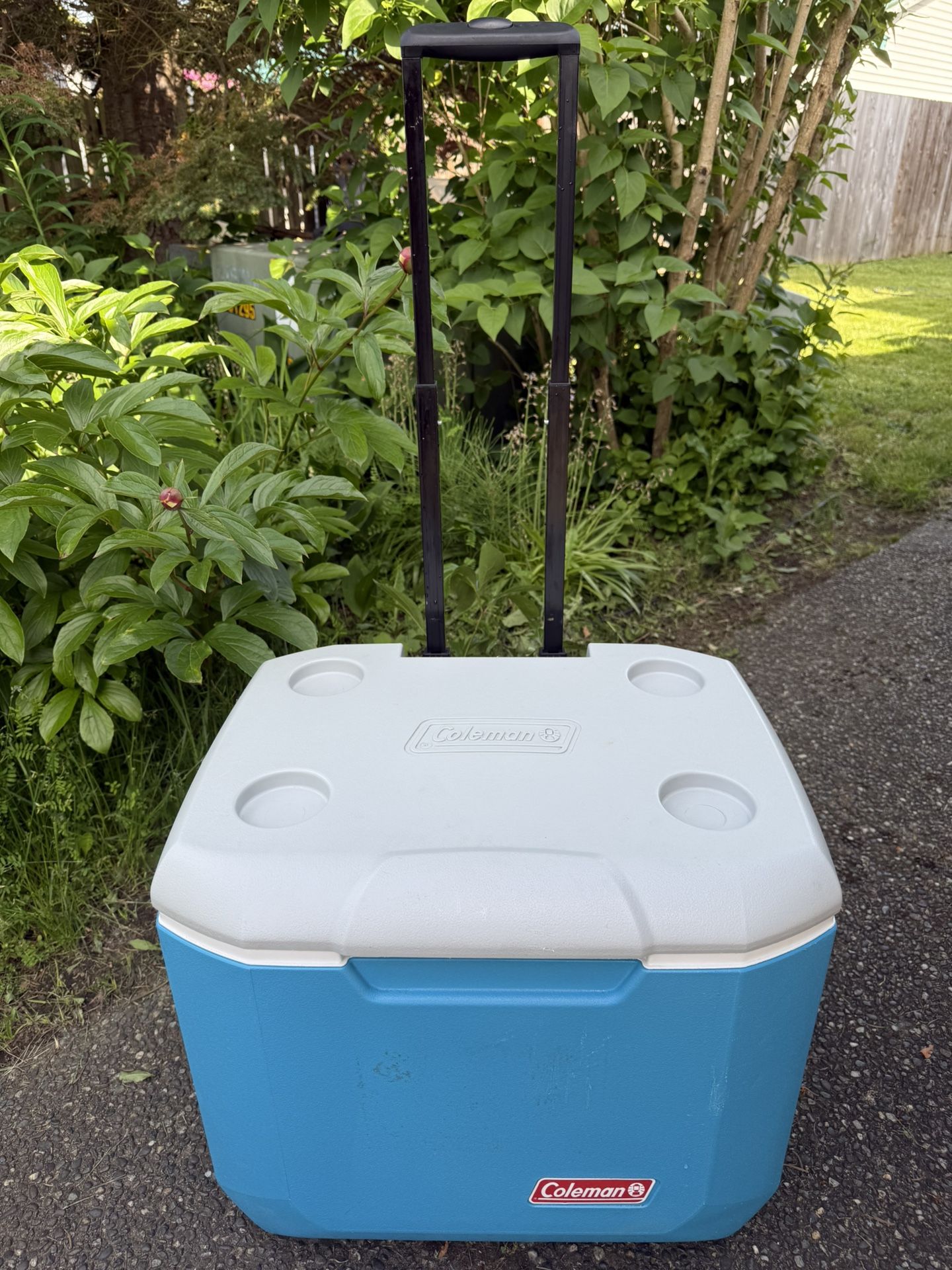 Large Cooler