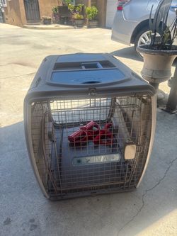 Big Dog Cage