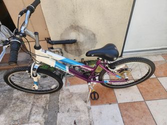 Schwin Bike