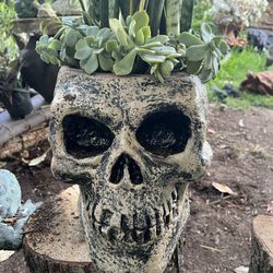 Calavera Grande De Cememento