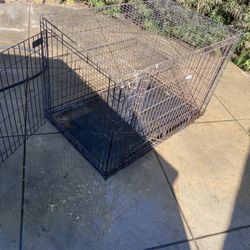 Kona Dog Kennel 